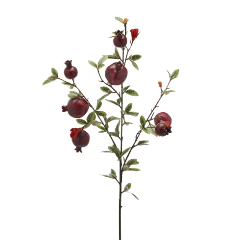 Luxury Pomegranate Stem