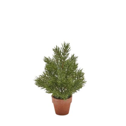 Mini Pine Tree