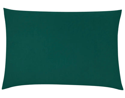 Teal Velvet Cushion