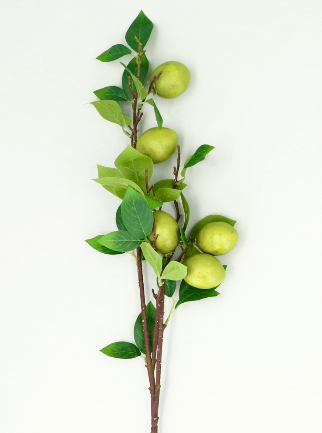 Luxury Lime Branch