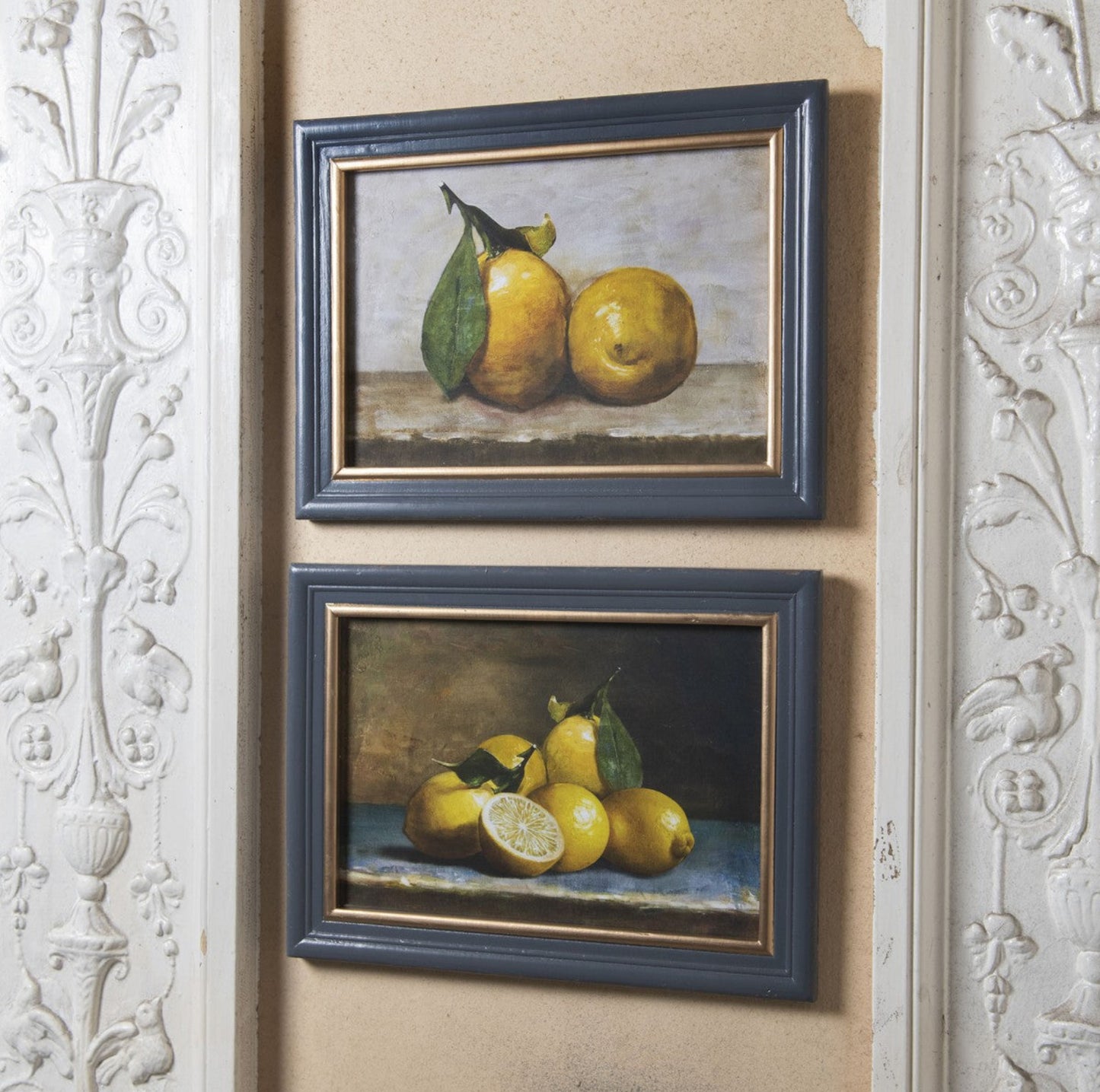 Framed Lemon Print (two designs)