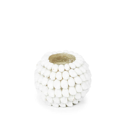 Shell Candle Votive   3 Sizes