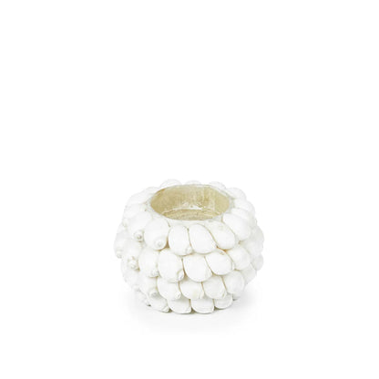 Shell Candle Votive   3 Sizes