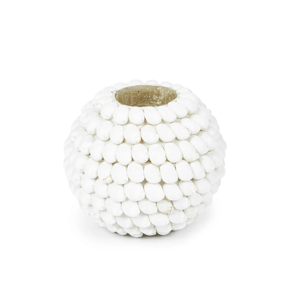 Shell Candle Votive   3 Sizes